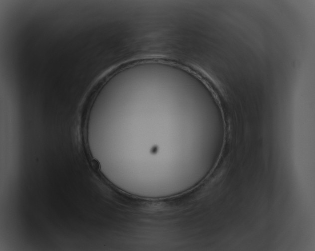 X0000100971452200806241154