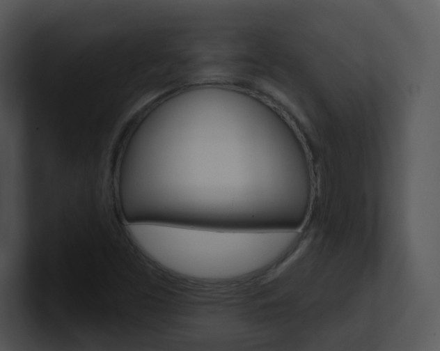X0000100971453200806241154