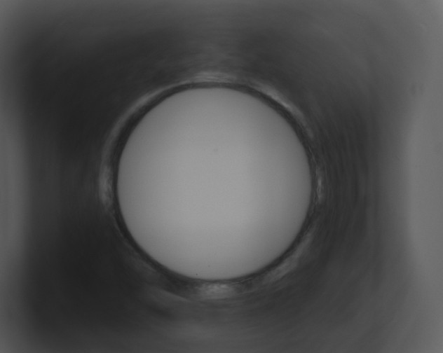 X0000100971454200806241154