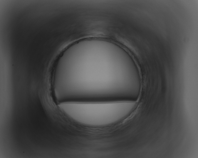 X0000100971455200806241154