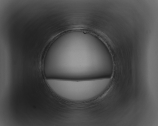 X0000100971457200806241154