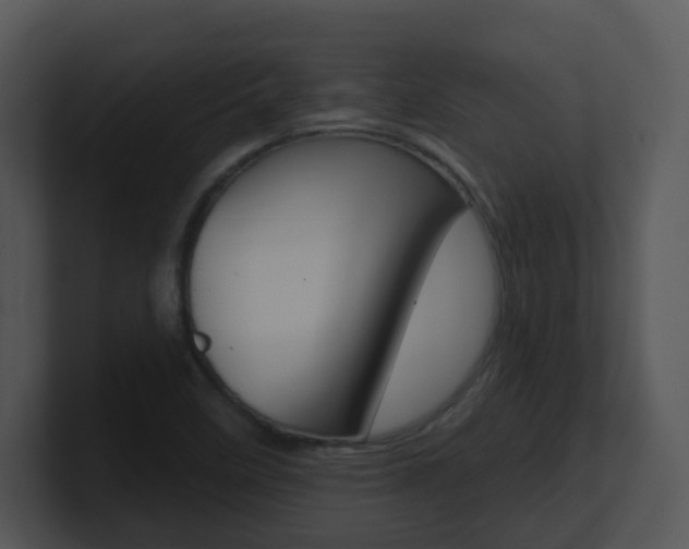X0000100971458200806241154
