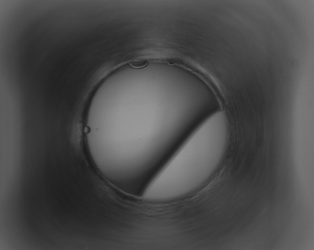 X0000100971459200806241154