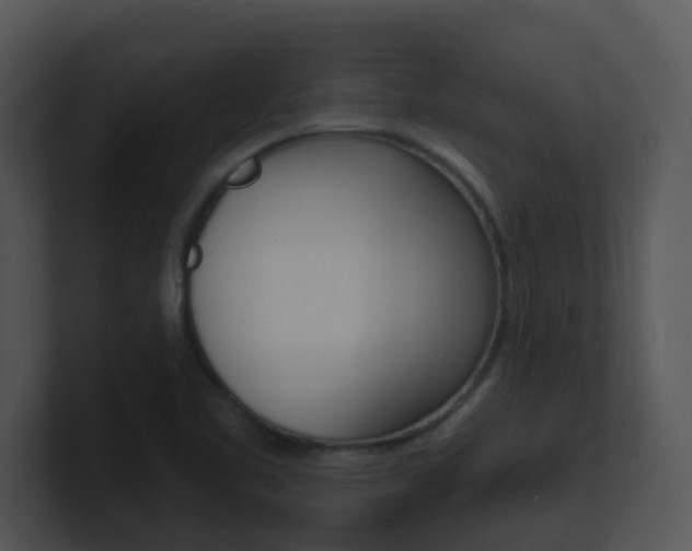 X0000100971461200806241154