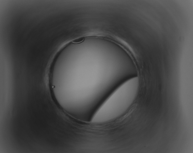X0000100971463200806241154