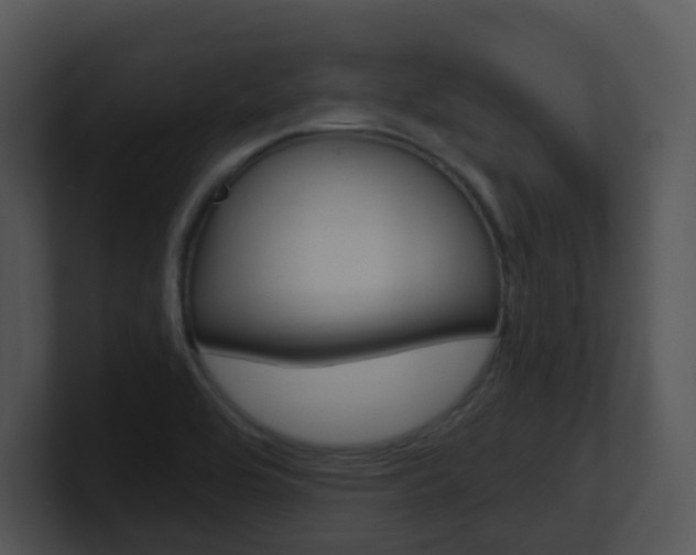 X0000100971464200806241154