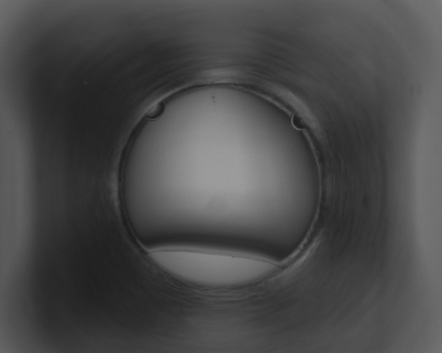 X0000100971465200806241154