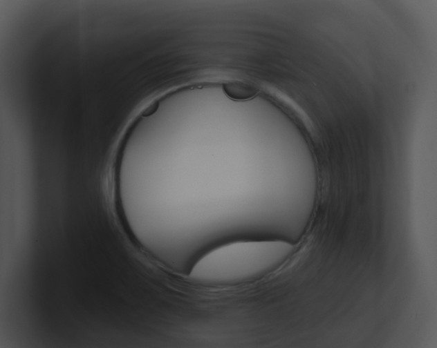 X0000100971467200806241154