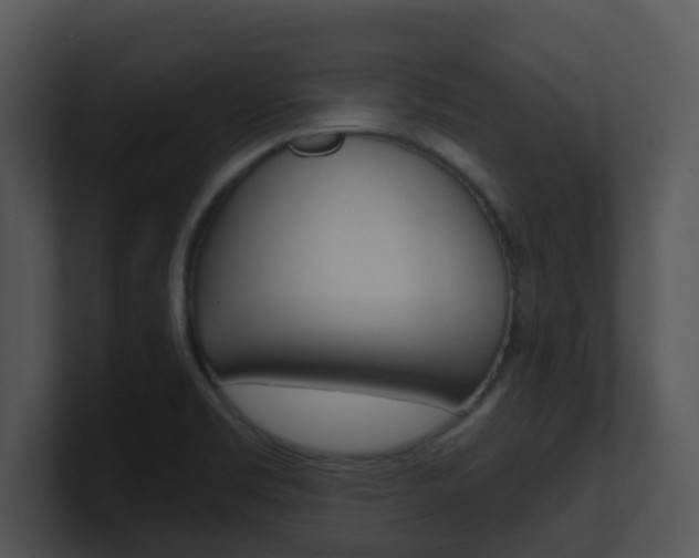 X0000100971469200806241154
