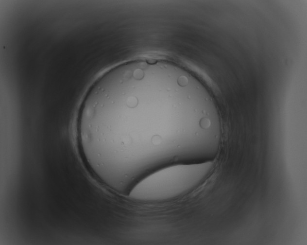 X0000100971471200806241154