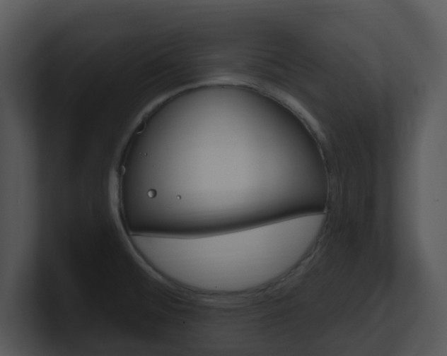 X0000100971476200806241154