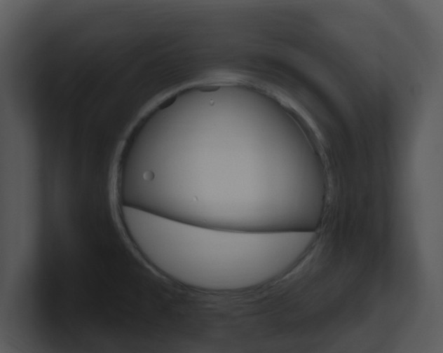 X0000100971477200806241153