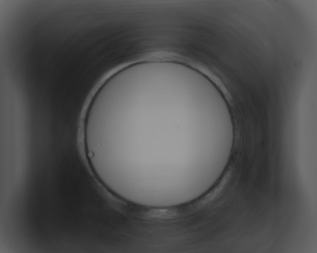 X0000100971478200806241153