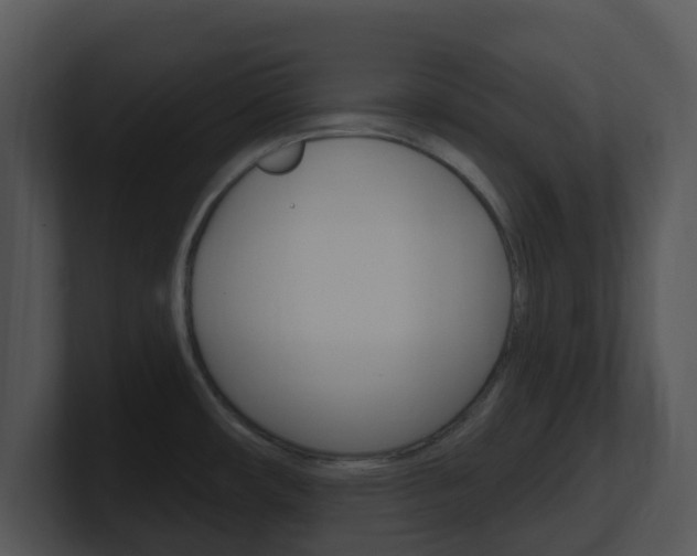 X0000100971482200806241153