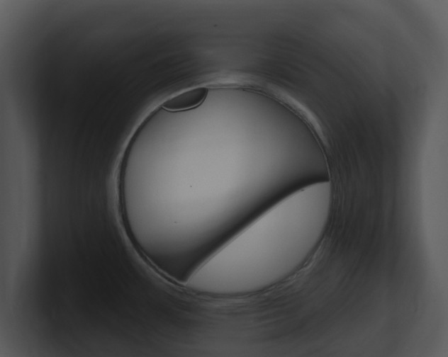 X0000100971483200806241153
