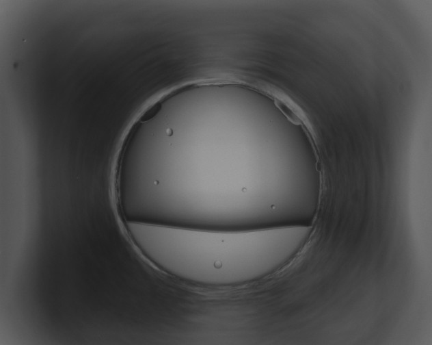 X0000100971485200806241153
