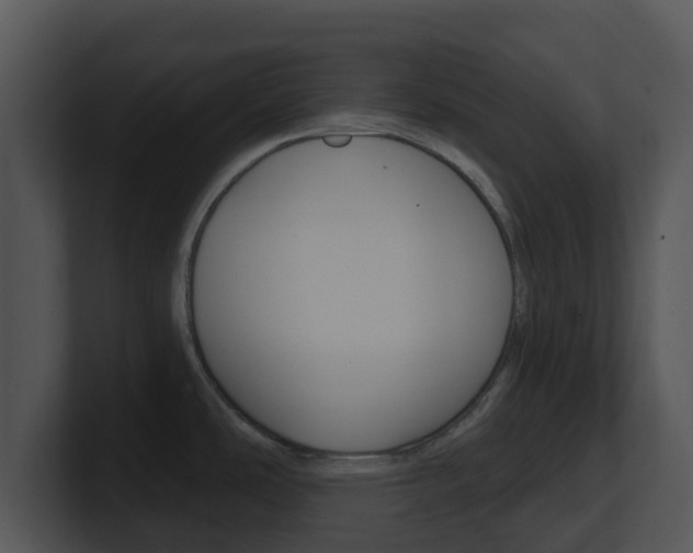 X0000100971486200806241153