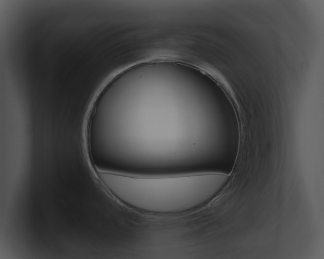 X0000100971488200806241153