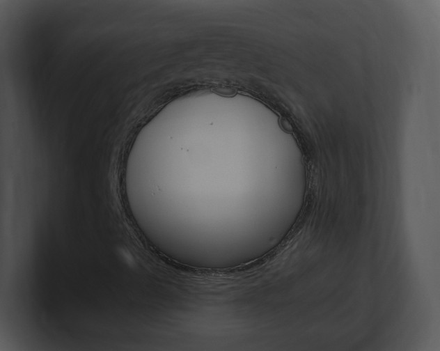 X0000100971489200806241153
