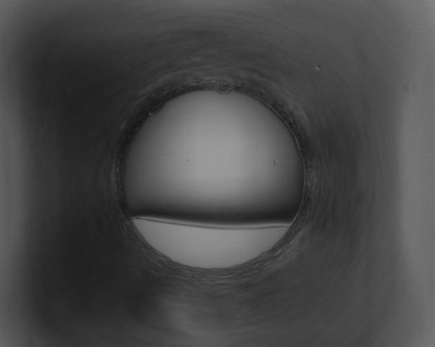 X0000100971490200806241153