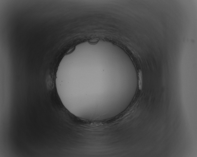 X0000100971491200806241153