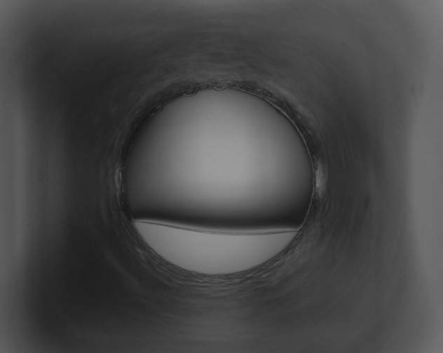 X0000100971492200806241153