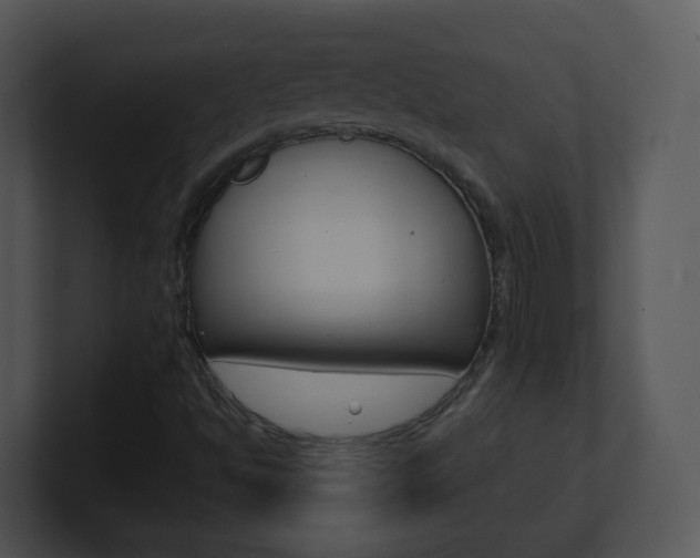 X0000100971494200806241153
