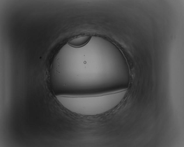 X0000100971495200806241153