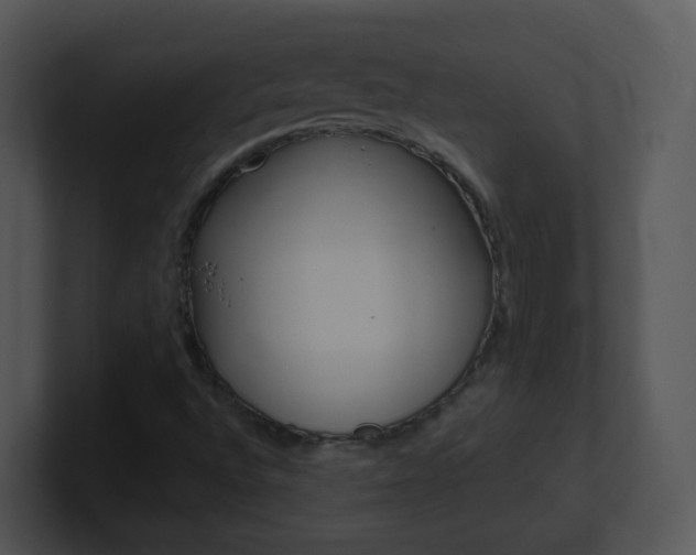 X0000100971496200806241153