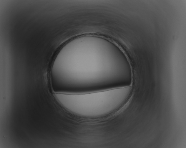 X0000100971497200806241153