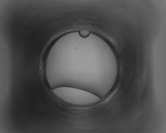 X0000100971498200806241153