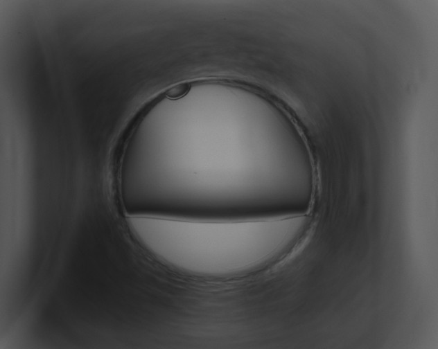 X0000100971501200806241153