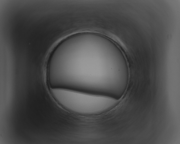 X0000100971504200806241153