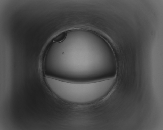 X0000100971506200806241153