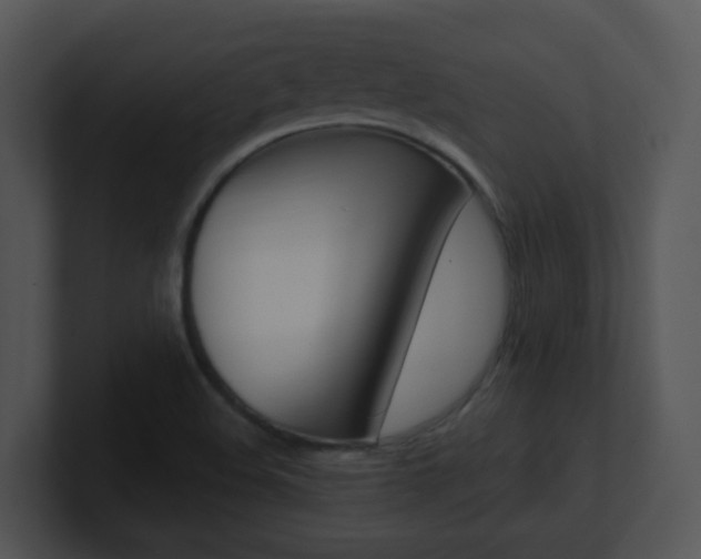 X0000100971508200806241153