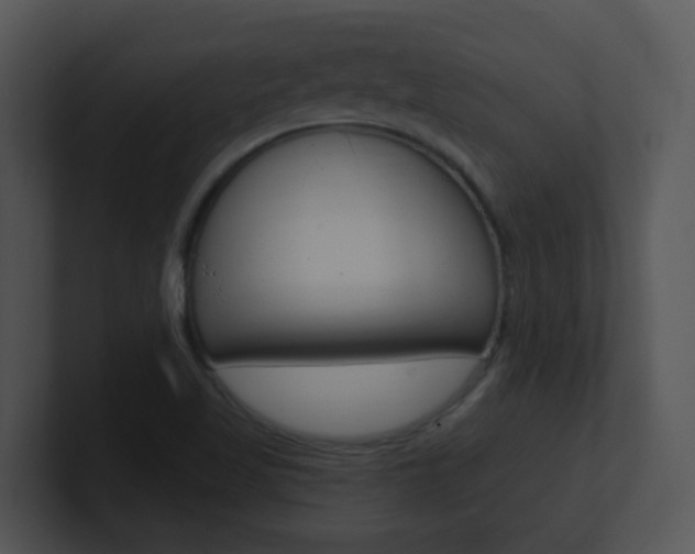 X0000100971509200806241153