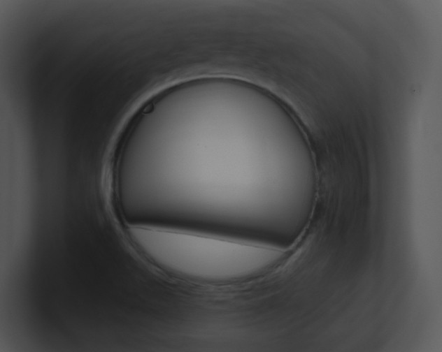 X0000100971511200806241153