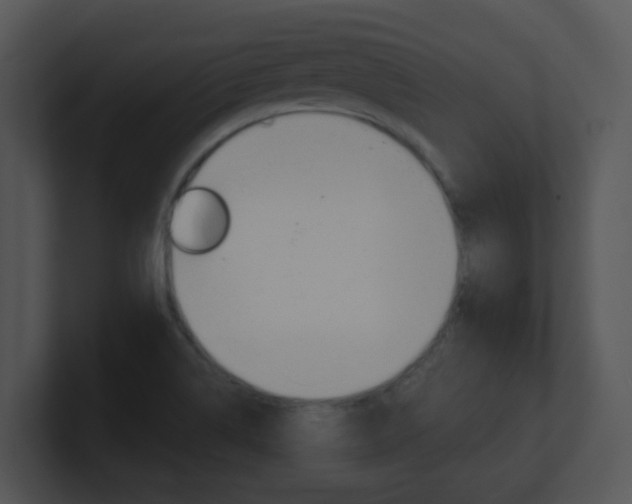X0000100971514200806241153