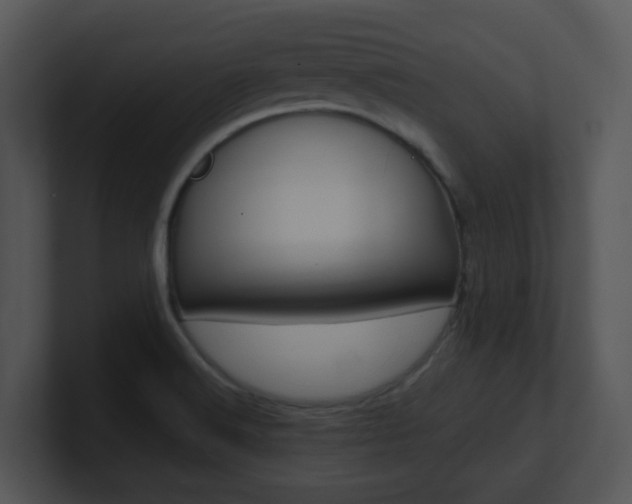 X0000100971516200806241153