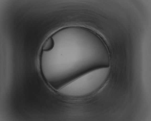 X0000100971517200806241153