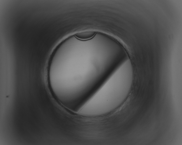 X0000100971518200806241153