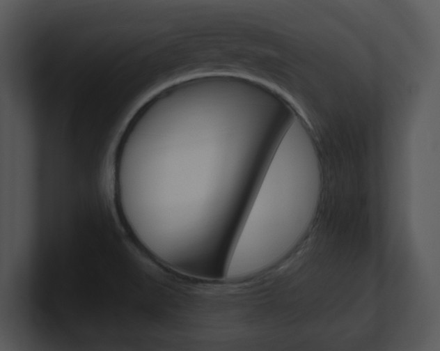 X0000100971519200806241153