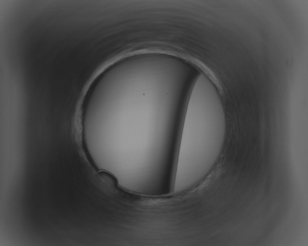 X0000100971522200806241153