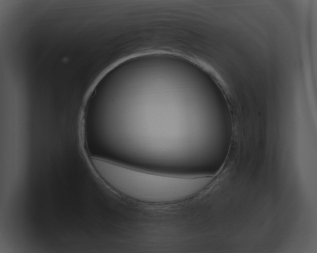 X0000100971524200806241153
