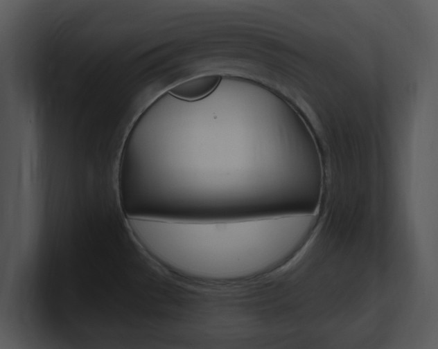 X0000100971529200806241153
