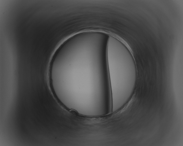 X0000100971533200806241153