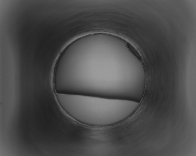 X0000100971535200806241153