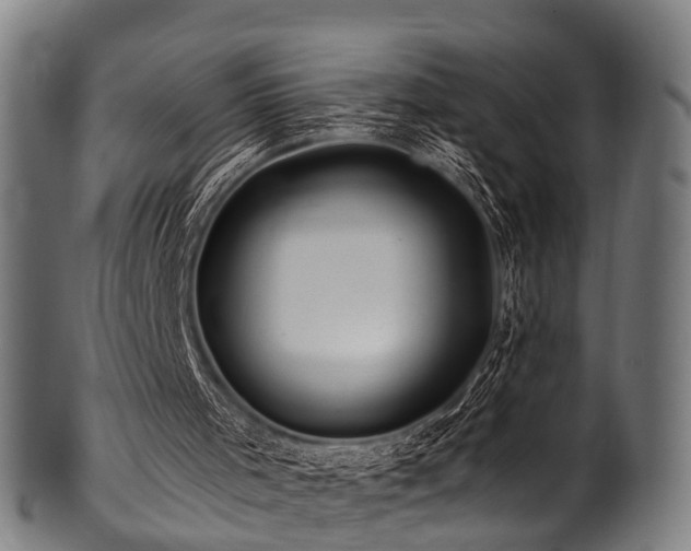 X0000100970001200806241602