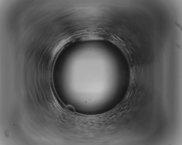 X0000100970003200806241602