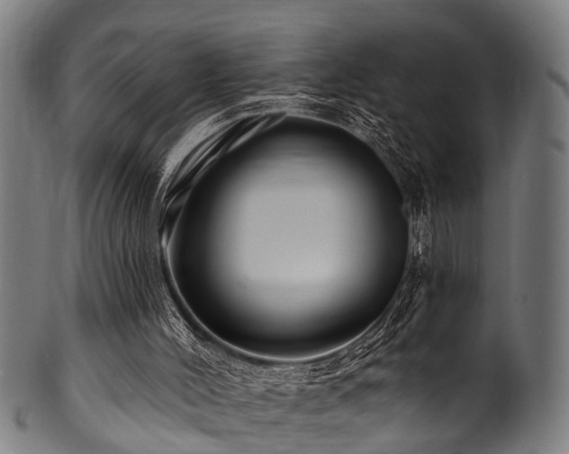 X0000100970004200806241602